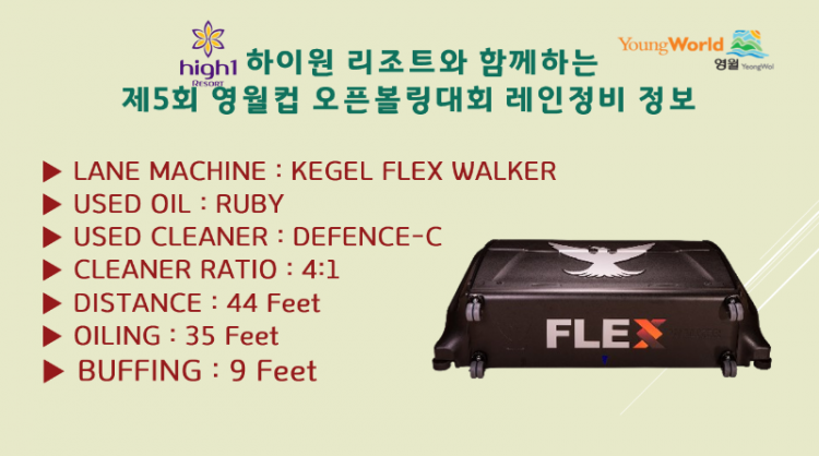 영월컵레인패턴.png